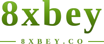 8xbey logo